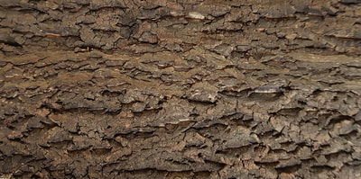 軟木樹皮壁軟木壁材