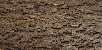 軟木樹皮壁板、軟木樹皮板
